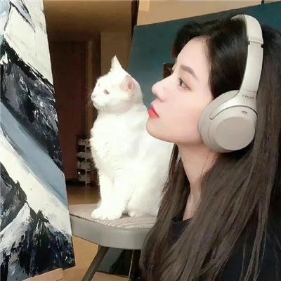 理查大冒险